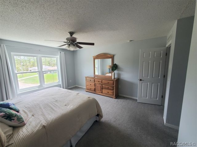 8960 N Athens Drive, Citrus Springs, FL 34433