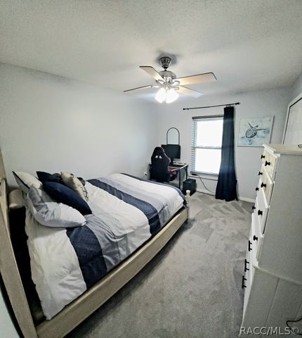 8960 N Athens Drive, Citrus Springs, FL 34433