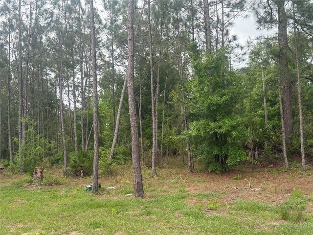 6505 OIL WELL ROAD, Clermont, FL 34714