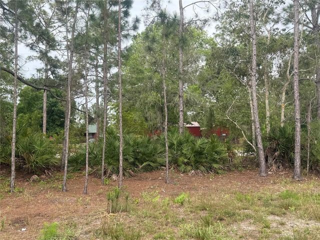 6505 OIL WELL ROAD, Clermont, FL 34714