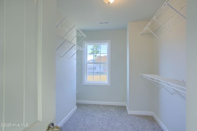 713 Jasmine Lane, Jacksonville, NC 28546