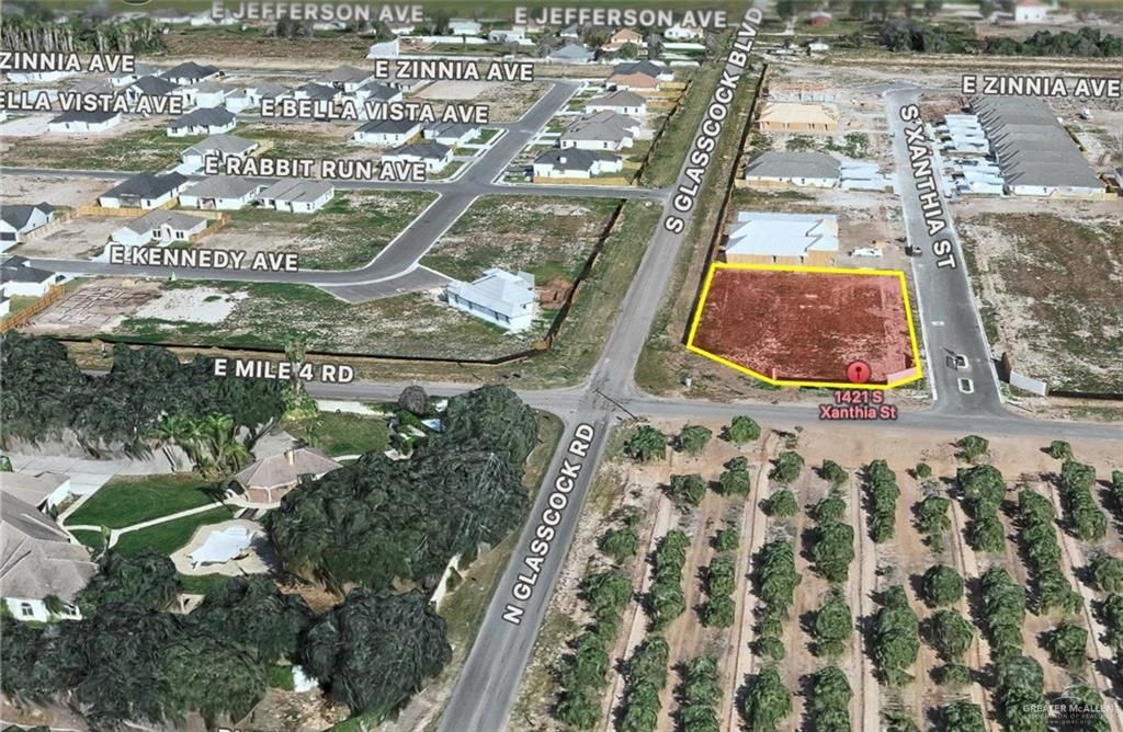 1421 S Xanthia Street, Alton, TX 78573