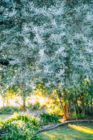 7530 Rasmussen Rd, Loomis, CA 95650