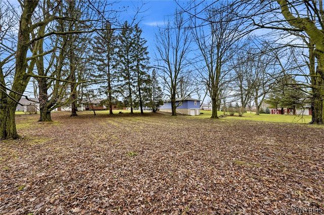 11168 Main, Clarence, NY 14031