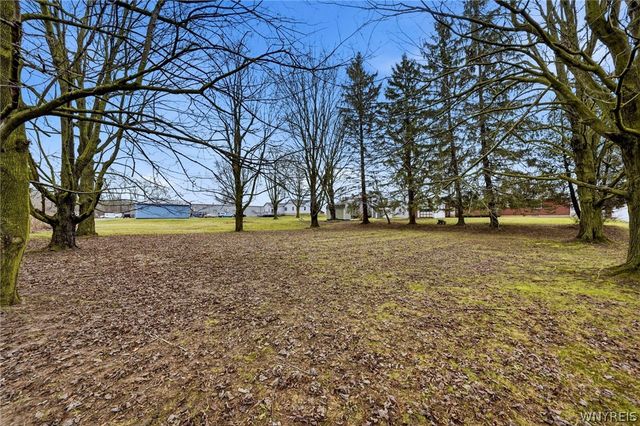 11168 Main, Clarence, NY 14031