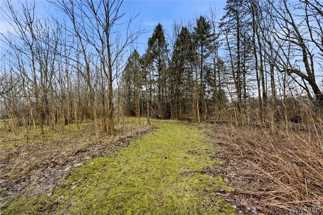 11168 Main, Clarence, NY 14031