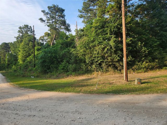 Lot 19 Mossyknoll Drive, Plantersville, TX 77363