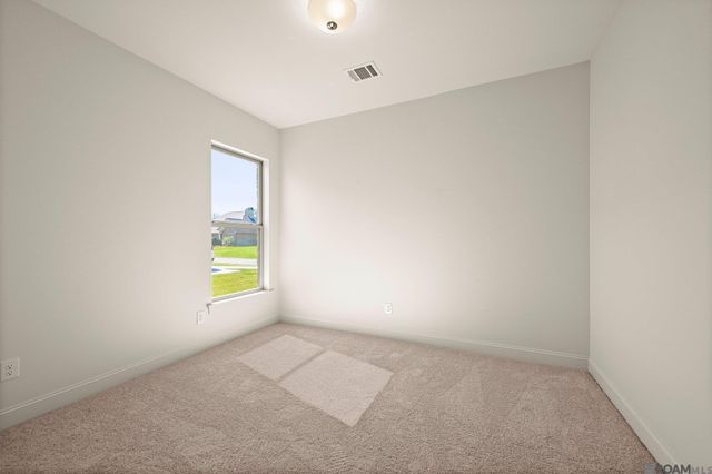 37409 Cattle Ave, Prairieville, LA 70769