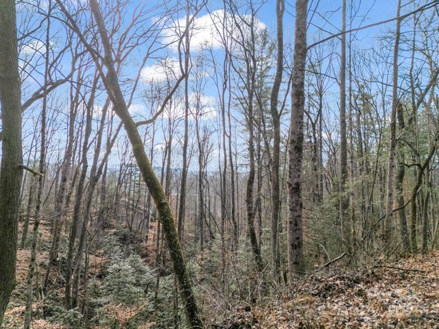 17 Maple Leaf Drive, Hendersonville, NC 28792