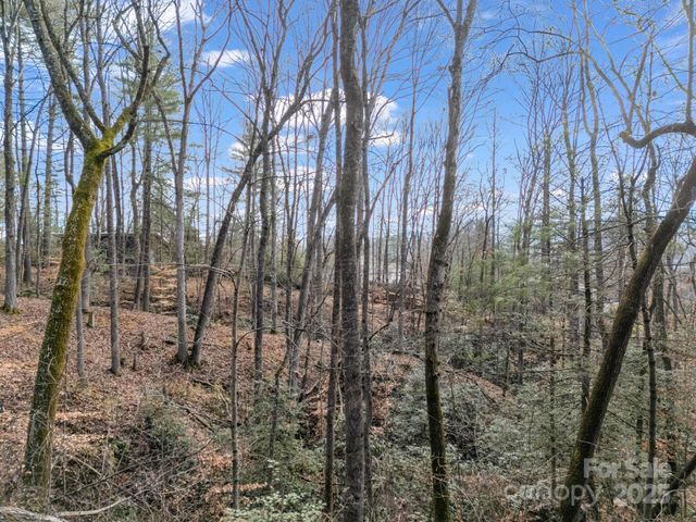 17 Maple Leaf Drive, Hendersonville, NC 28792