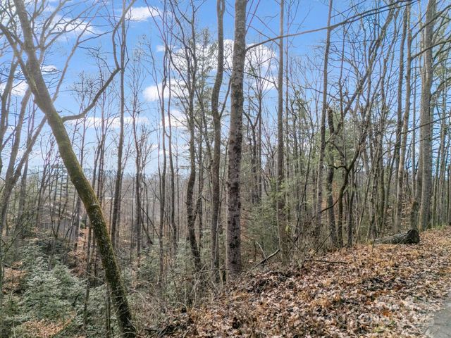 17 Maple Leaf Drive, Hendersonville, NC 28792