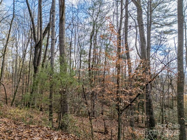 17 Maple Leaf Drive, Hendersonville, NC 28792