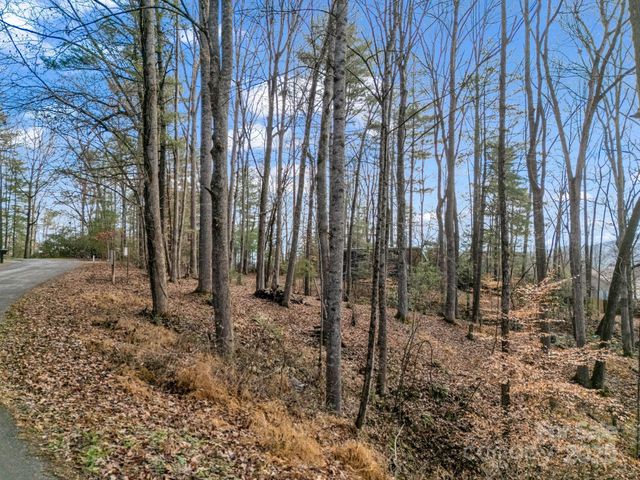 17 Maple Leaf Drive, Hendersonville, NC 28792