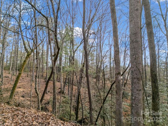 17 Maple Leaf Drive, Hendersonville, NC 28792