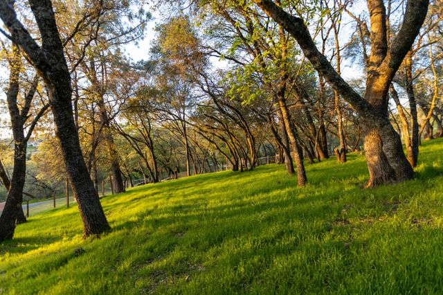 2045 Toscana Pl, Auburn, CA 95603