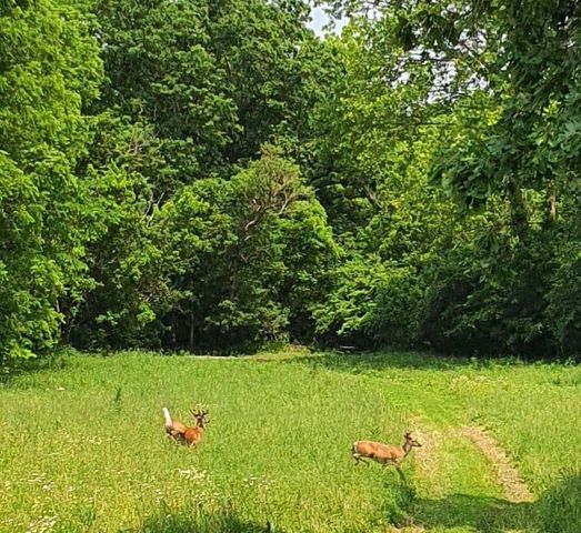 161 Central Pike, Harrodsburg, KY 40330