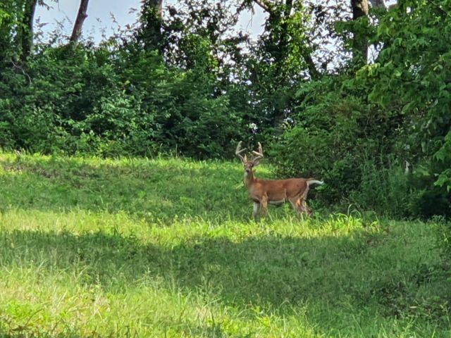 161 Central Pike, Harrodsburg, KY 40330