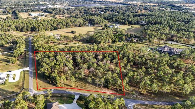 24325 DEEP SPRINGS LOOP, Eustis, FL 32736