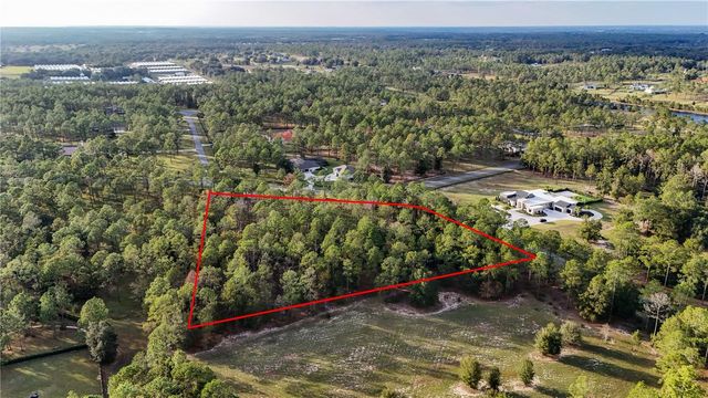 24325 DEEP SPRINGS LOOP, Eustis, FL 32736