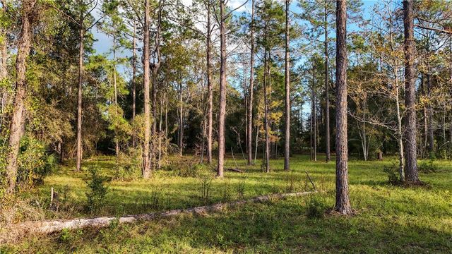 24325 DEEP SPRINGS LOOP, Eustis, FL 32736