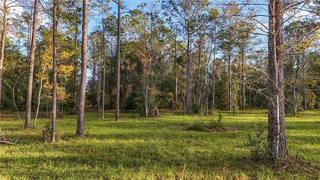 24325 DEEP SPRINGS LOOP, Eustis, FL 32736