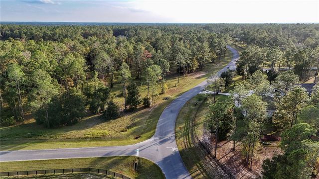 24325 DEEP SPRINGS LOOP, Eustis, FL 32736