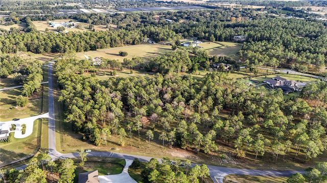 24325 DEEP SPRINGS LOOP, Eustis, FL 32736