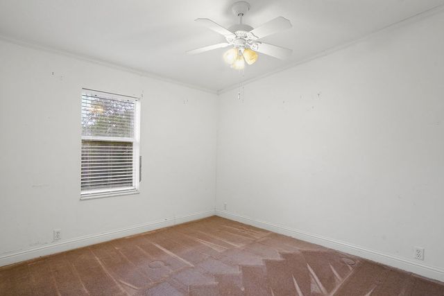 10135 E County Rd 16, Slocomb, AL 36375