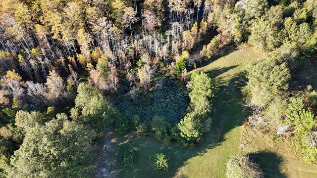 10135 E County Rd 16, Slocomb, AL 36375