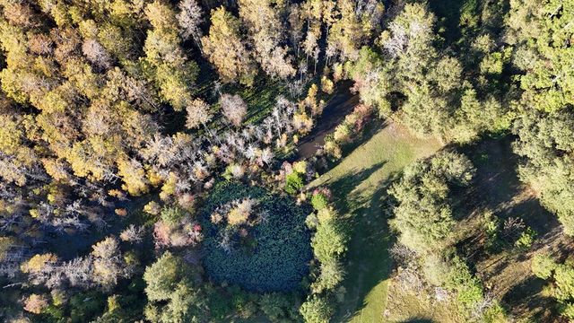 10135 E County Rd 16, Slocomb, AL 36375