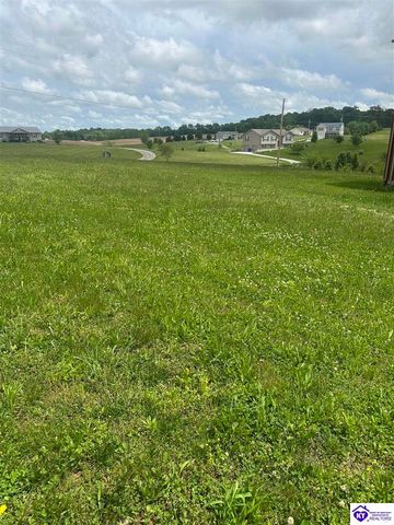 230 Diamond Court, Vine Grove, KY 40175