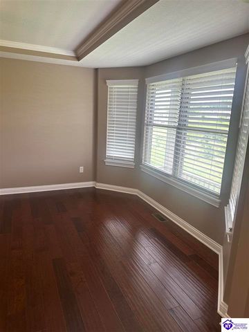 230 Diamond Court, Vine Grove, KY 40175