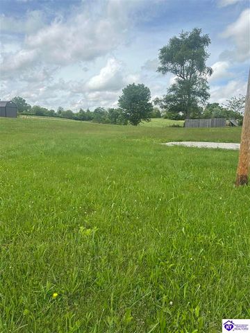 230 Diamond Court, Vine Grove, KY 40175