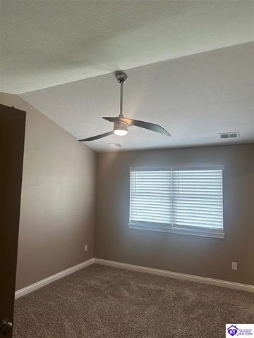 230 Diamond Court, Vine Grove, KY 40175