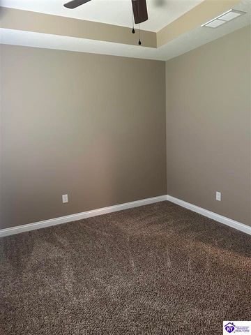 230 Diamond Court, Vine Grove, KY 40175