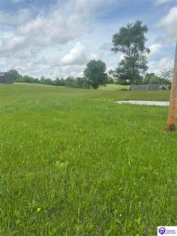 230 Diamond Court, Vine Grove, KY 40175