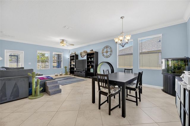 11924 FROST ASTER DRIVE, Riverview, FL 33579