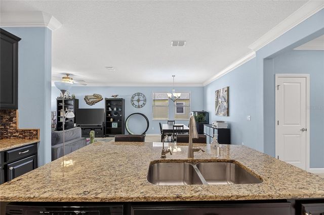 11924 FROST ASTER DRIVE, Riverview, FL 33579