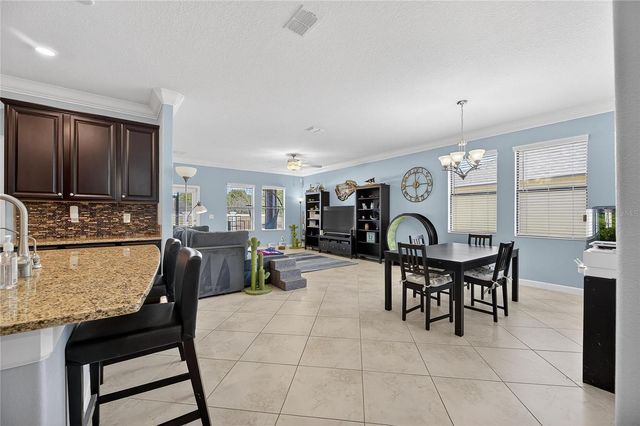 11924 FROST ASTER DRIVE, Riverview, FL 33579