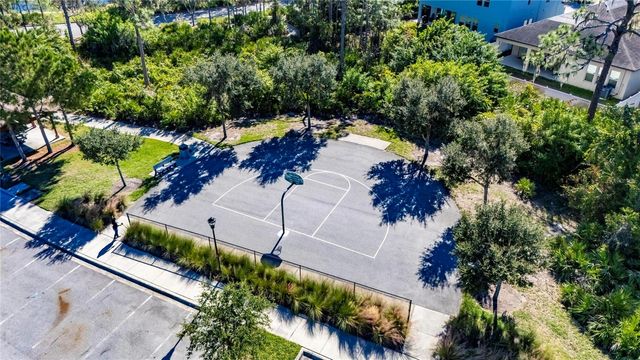 11924 FROST ASTER DRIVE, Riverview, FL 33579