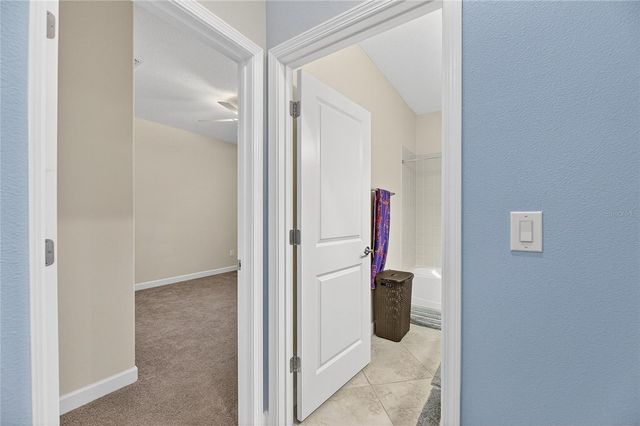 11924 FROST ASTER DRIVE, Riverview, FL 33579