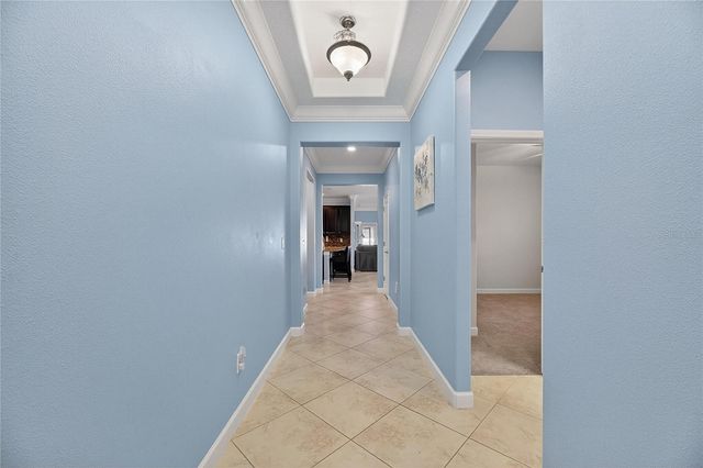 11924 FROST ASTER DRIVE, Riverview, FL 33579