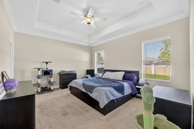 11924 FROST ASTER DRIVE, Riverview, FL 33579