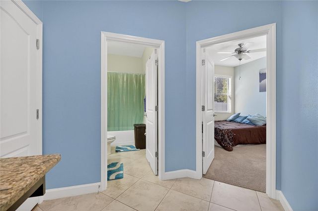 11924 FROST ASTER DRIVE, Riverview, FL 33579