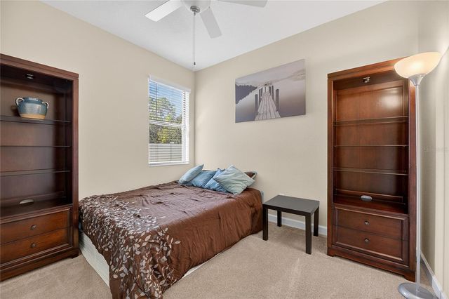 11924 FROST ASTER DRIVE, Riverview, FL 33579