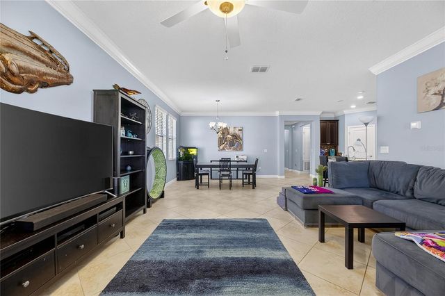 11924 FROST ASTER DRIVE, Riverview, FL 33579