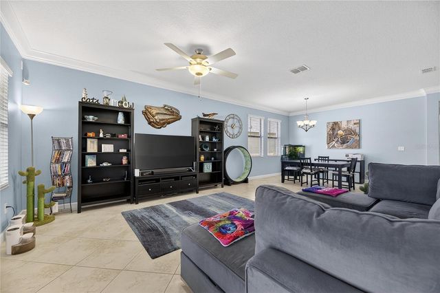 11924 FROST ASTER DRIVE, Riverview, FL 33579