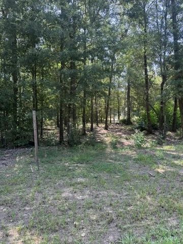 000 Somerset, Livingston, TX 77351