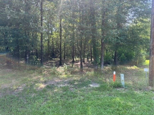 000 Somerset, Livingston, TX 77351