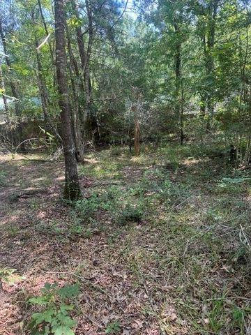 000 Somerset, Livingston, TX 77351